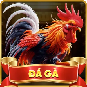 Hỗ trợ khách hàng 78be đá gà